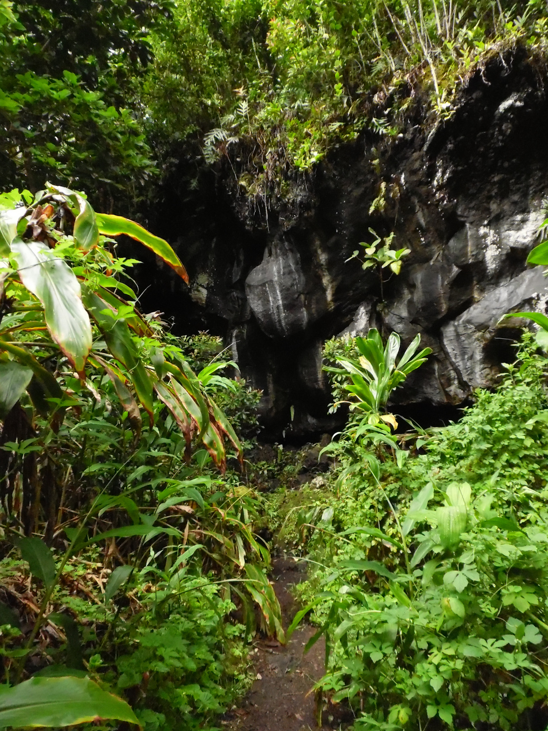 Rock wall next to Waianapanapa cave